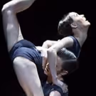 The National Ballet Of Canada Posts Surplus For Eighth Consecutive Season