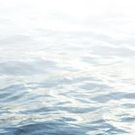 New York Choral Society to Perform WHERE EVEN THE SEA SINGS at Stern Auditorium at…