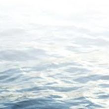 New York Choral Society to Perform WHERE EVEN THE SEA SINGS at Stern Auditorium at…