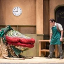 BWW Reviews: MNM's LITTLE SHOP a Star-Studded Suppertime