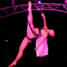 ZigZag Circus Presents UNDER THE COVERS: UNPLUGGED At The 2019 Adelaide Fringe Festiv