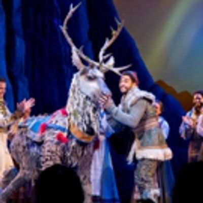 Photo Coverage: Joe Carroll, Ryann Redmond &amp; Noah J. Ricketts Take First Bows in FROZEN