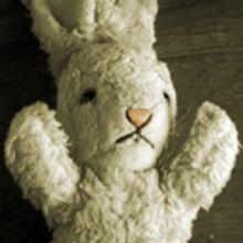 NH Theatre Project Opens WHITE RABBIT RED RABBIT and New RUSH40 Program