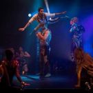 BWW Review: BLACK CAT: BOHEMIA, Underbelly Festival