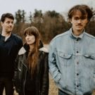 The Felice Brothers Release POOR BLIND BIRDS From First Album in Three Years
