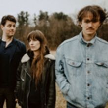 The Felice Brothers Release POOR BLIND BIRDS From First Album in Three Years