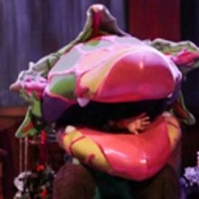 Photo Flash: The Morgan-Wixson Theatre Presents LITTLE SHOP OF HORRORS