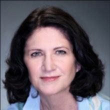 LookOut Presents THE ACCIDENTAL CURATOR by Molly Regan