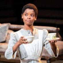 BWW Review: THE CONVERT, Young Vic
