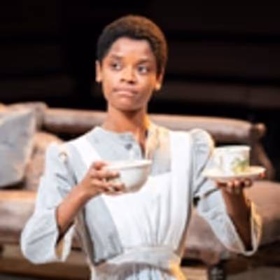 BWW Review: THE CONVERT, Young Vic