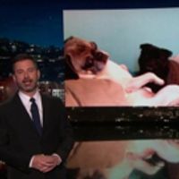 VIDEO: Dogs Predict Every March Madness Game on JIMMY KIMMEL LIVE Video