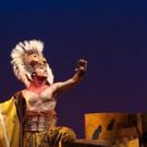 EL REY LEON MEXICO Concluye Su Ciclo