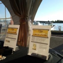 Photo Coverage: Bay Street Theatre's 27th Annual Gala