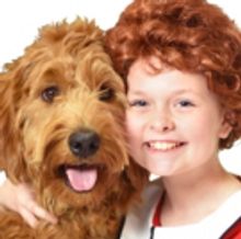 ANNIE Comes to Beef & Boards Dinner Theatre, Today
