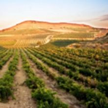 BODEGAS RAMON BALBOA-Fine Spanish Wines