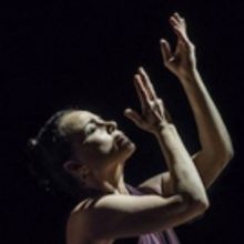 Noche Flamenca Adds New Works to ENTRE TU Y YO