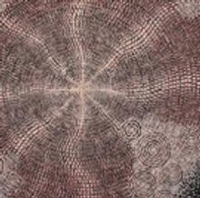 Our Mob 2018 Emerging Artist Prize Winner Announced