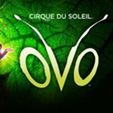 CIRQUE DU SOLEIL's OVO Says Goodbye To London Sunday, March 4