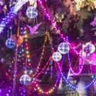 Holiday Happy Hour Parties for 21-And-Up Crowd At LA ZOO LIGHTS
