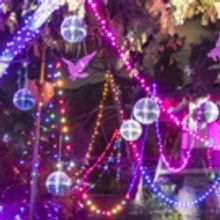 Holiday Happy Hour Parties for 21-And-Up Crowd At LA ZOO LIGHTS