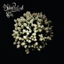 The Steel Wheels Announce 7th Album 'Over The Trees'