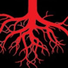 Palm Beach Dramaworks Presents The World Premiere Of Lyle Kessler's HOUSE ON FIRE