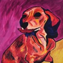 Ty Segall Releases FANNY Vinyl Edition To Benefit Animal Rescue Organizations