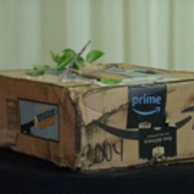 VIDEO: Trump's Bashing Sparks New Amazon Delivery Service