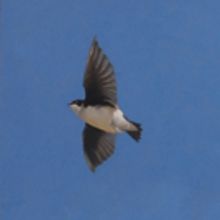 Nine Arizona Artists Create Awards For 37th Annual Governor's Arts Awards Honorees