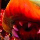 BWW Review: LITTLE SHOP OF HORRORS at Broadway Palm