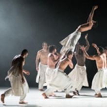 BWW Dance Review: Hervé Koubi's WHAT THE DAY OWES TO THE NIGHT, Joyce Theater, Febru