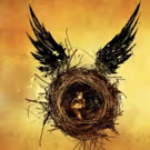 HARRY POTTER AND THE CURSED CHILD to Offer 1,200 Tickets for Just $20 to First Two…