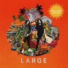 Mellow Mood Announce New Album LARGE Out 4/6