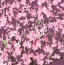 Mikhail Baryshnikov Stars in BRODSKY/BARYSHNIKOV at The Harris Theater