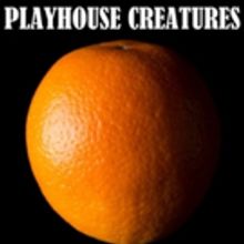 BWW Review: PLAYHOUSE CREATURES at City Theatre
