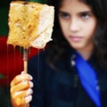 Satellite Collective Announces ECHO & NARCISSUS