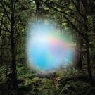 Trey Anastasio Announces New Album 'Ghosts Of The Forest'