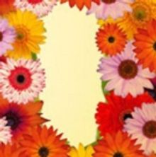 Mark Morris Dance Group presents SGT. PEPPER AT 50: PEPPERLAND