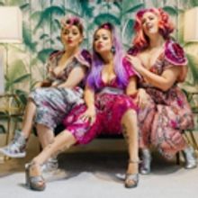 QV Cinema Is Back With A Late Summer Program Of Screenings And Special Events