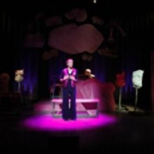 BWW Review: Phoenix Theatre Presents Sally Jo Bannow's THE BOOB SHOW
