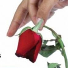 Victory Theatre Center Hosts the World Premiere of THE END OF SEX