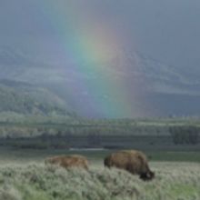 The Smithsonian Channel and Bill Pullman Present EPIC YELLOWSTONE