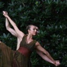 Amanda Selwyn Dance Theater Performs GREEN AFTERNOON VI