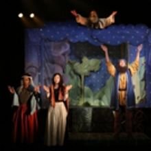 Review Roundup: THE AMATEURS Opens at the Vineyard