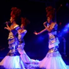 The Priscilla Party Experience: The Cockatoo Club is Coming to London