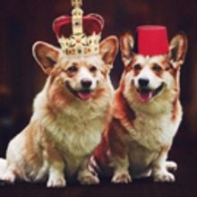 THE CROWN DUAL Will Have World Premiere At Kings Head Theatre