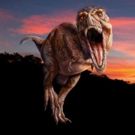 Museum of Natural History Launches New T-Rex Exhibit This Spring