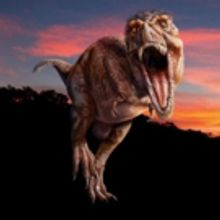 Museum of Natural History Launches New T-Rex Exhibit This Spring