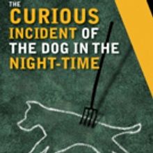 Actors Theatre Of Louisville Presents THE CURIOUS INCIDENT OF THE DOG IN THE NIGHT-TI