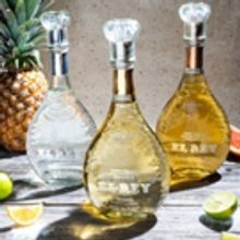El Rey Tequila: Reigning Supreme
